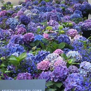 Meet your Posher, Kt